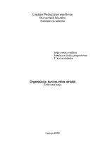 Eseja 'Organizācija, kurā es vēlos strādāt', 1.