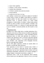 Eseja 'Organizācija, kurā es vēlos strādāt', 4.