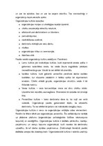 Eseja 'Organizācija, kurā es vēlos strādāt', 5.