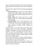 Eseja 'Organizācija, kurā es vēlos strādāt', 6.