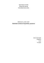 Konspekts 'Stilistiskās izteiksmes lingvistiskie paņēmieni', 1.