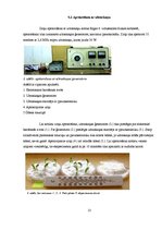 Referāts 'Fizikālo faktoru ietekme uz zirņu sēklu dīgšanu', 13.