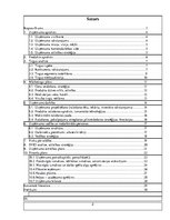 Biznesa plāns 'Biznesa plāna paraugs', 2.