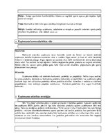 Biznesa plāns 'Biznesa plāna paraugs', 5.