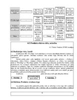 Biznesa plāns 'Biznesa plāna paraugs', 12.