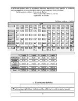 Biznesa plāns 'Biznesa plāna paraugs', 13.