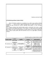 Biznesa plāns 'Biznesa plāna paraugs', 18.