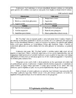 Biznesa plāns 'Biznesa plāna paraugs', 21.