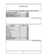 Biznesa plāns 'Biznesa plāna paraugs', 23.