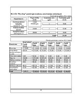 Biznesa plāns 'Biznesa plāna paraugs', 24.