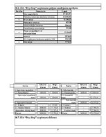 Biznesa plāns 'Biznesa plāna paraugs', 31.