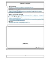 Biznesa plāns 'Biznesa plāna paraugs', 32.