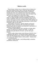 Referāts 'Dzintars', 5.