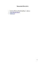 Referāts 'Dzintars', 9.