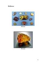 Referāts 'Dzintars', 10.