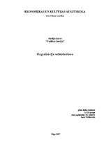 Konspekts 'Organizāciju salīdzināšana', 1.