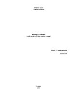 Referāts 'Korupcija Latvijā', 1.