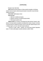 Referāts 'Korupcija Latvijā', 2.