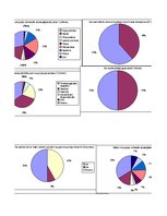 Referāts 'Korupcija Latvijā', 43.