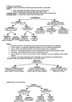 Konspekts 'Civiltiesības. Vispārīgā daļa. Eksāmena atbildes. 2006.gads', 5.