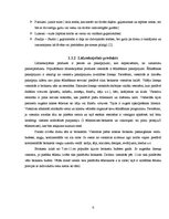 Referāts 'Rēzeknes viesnīcu "Kolonna Rēzekne" un "Latgale" produktu salīdzinošs raksturoju', 6.