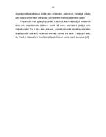 Diplomdarbs 'A/s "Cido" darbības analīze, perspektīvas, tendences un dinamika', 29.