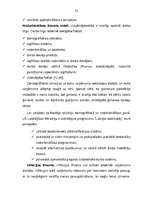 Diplomdarbs 'A/s "Cido" darbības analīze, perspektīvas, tendences un dinamika', 32.
