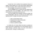 Referāts 'Preču zīmes un kvalitātes zīmes nozīme patērētāju lēmuma pieņemšanas procesā', 6.