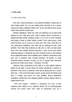 Referāts 'Preču zīmes un kvalitātes zīmes nozīme patērētāju lēmuma pieņemšanas procesā', 7.