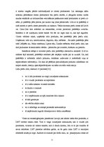 Referāts 'Preču zīmes un kvalitātes zīmes nozīme patērētāju lēmuma pieņemšanas procesā', 11.