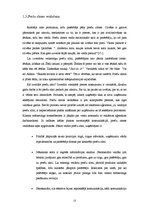 Referāts 'Preču zīmes un kvalitātes zīmes nozīme patērētāju lēmuma pieņemšanas procesā', 13.