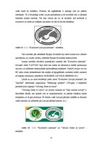 Referāts 'Preču zīmes un kvalitātes zīmes nozīme patērētāju lēmuma pieņemšanas procesā', 19.