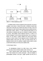 Referāts 'Preču zīmes un kvalitātes zīmes nozīme patērētāju lēmuma pieņemšanas procesā', 32.