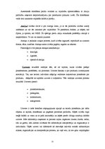 Referāts 'Preču zīmes un kvalitātes zīmes nozīme patērētāju lēmuma pieņemšanas procesā', 35.