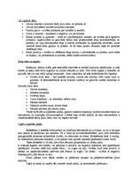 Referāts 'Ķermeņa valoda', 8.