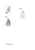 Referāts 'Ķermeņa valoda', 12.