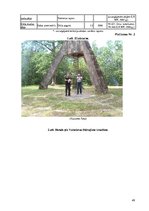 Diplomdarbs 'Dabas resursu izmantošana tūrismā Valmieras rajonā', 49.