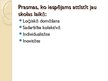 Prezentācija 'Profesijas izvēles ietekme uz cilvēka ienākumiem', 13.