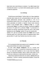 Referāts 'Līvu tautas kultūrvēsturiskais mantojums Ziemeļkurzemē', 18.