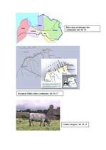 Referāts 'Līvu tautas kultūrvēsturiskais mantojums Ziemeļkurzemē', 37.