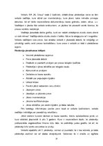 Referāts 'Konkurētspējas paaugstināšana apavu tirgū uzņēmumam SIA "NL Group"', 19.