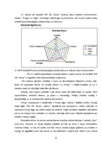Referāts 'Konkurētspējas paaugstināšana apavu tirgū uzņēmumam SIA "NL Group"', 23.
