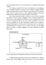 Referāts 'Konkurētspējas paaugstināšana apavu tirgū uzņēmumam SIA "NL Group"', 24.