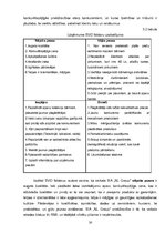 Referāts 'Konkurētspējas paaugstināšana apavu tirgū uzņēmumam SIA "NL Group"', 30.