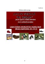 Referāts 'Konkurētspējas paaugstināšana apavu tirgū uzņēmumam SIA "NL Group"', 47.