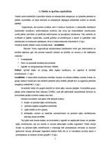 Referāts 'Sociālo iemaņu un prasmju apguve jauniešiem ar īpašām vajadzībām', 5.