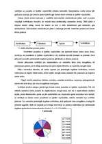 Referāts 'Sociālo iemaņu un prasmju apguve jauniešiem ar īpašām vajadzībām', 21.