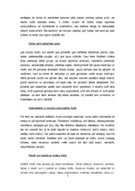 Referāts 'Seno rituālu atspulgs mūsdienās', 2.