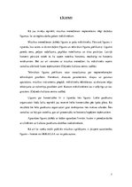 Referāts 'Mūzikas grupas menedžera pienākumi un uzdevumi', 7.