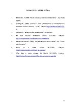 Referāts 'Mūzikas grupas menedžera pienākumi un uzdevumi', 11.